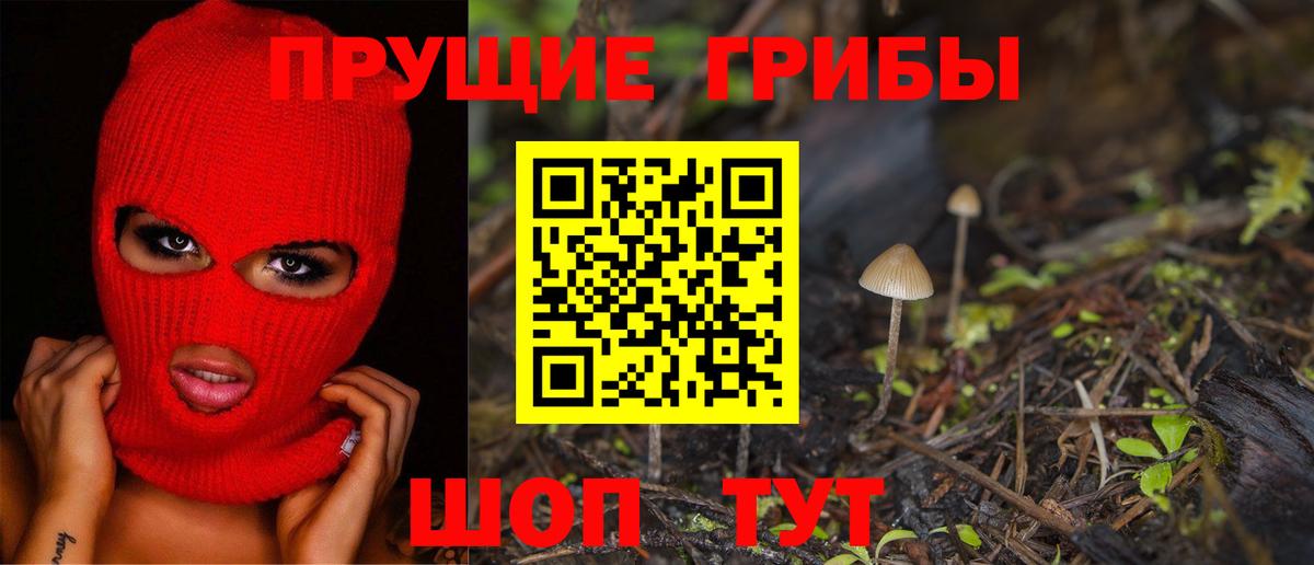Псилоцибиновые грибы Cubensis  Вход с VPN  Грязи 